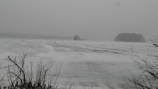 2026-04-06 (Vue Odanak)