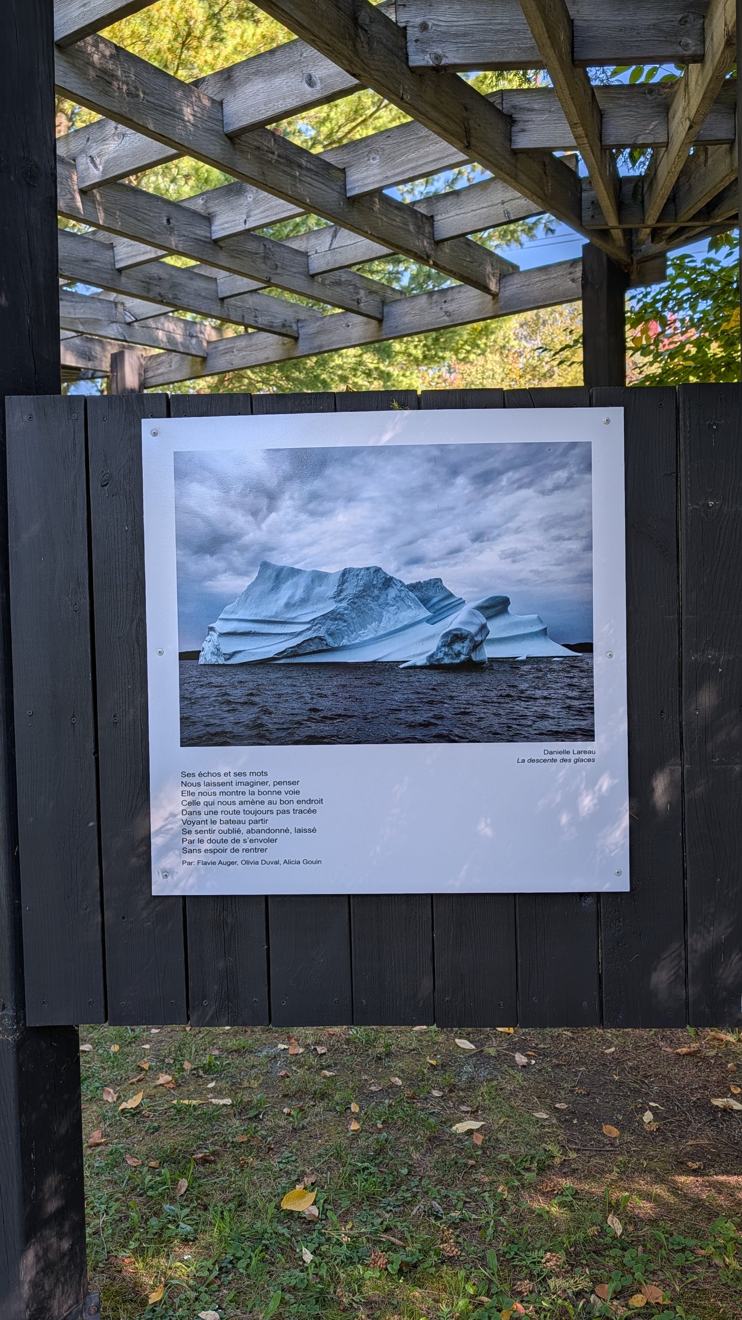 La descente des glaces - Danielle Lareau