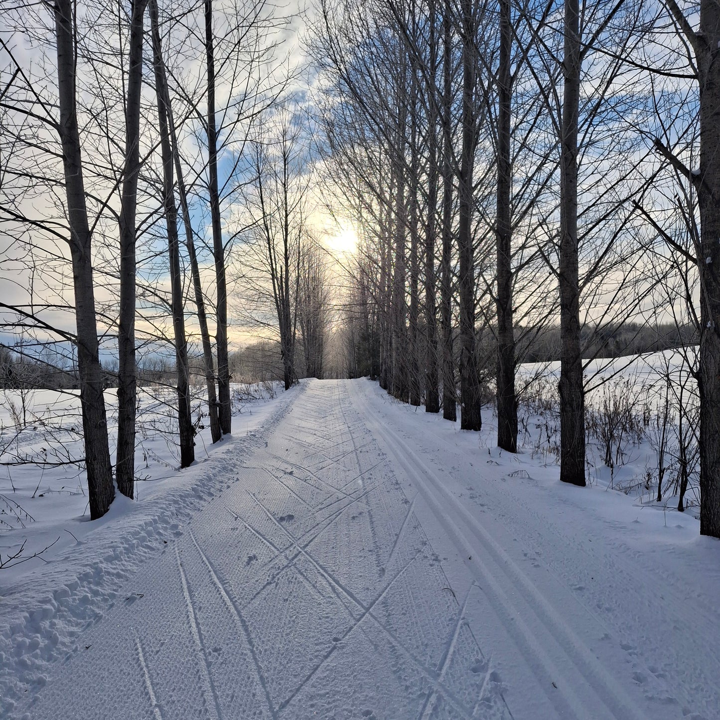 Ski de fond