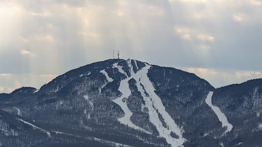 2026-03-29 (Vue Orford)