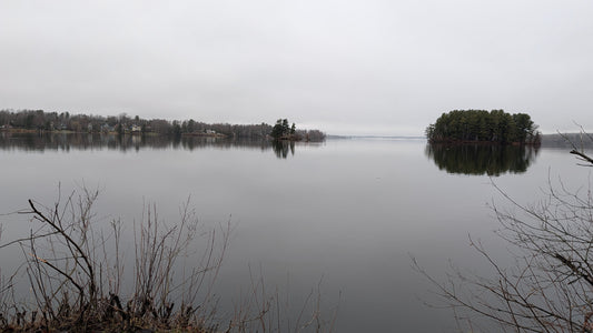 2026-04-15 (Vue Odanak)