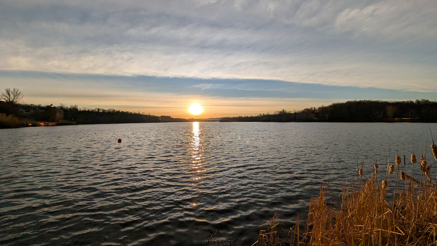 2026-04-18 6:25 (Vue Q1)