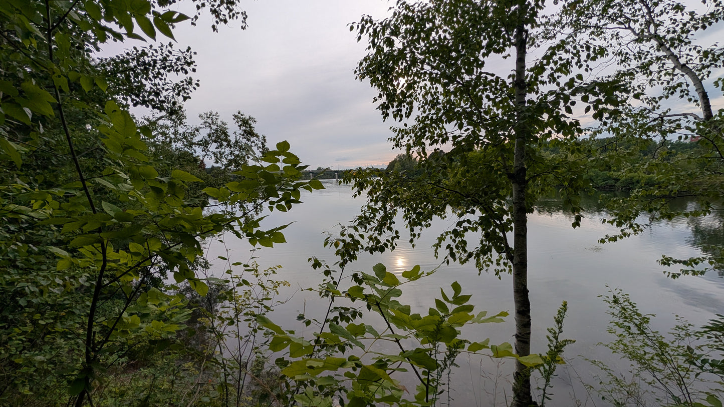 2026-08-20 17:59 (Vue 2)