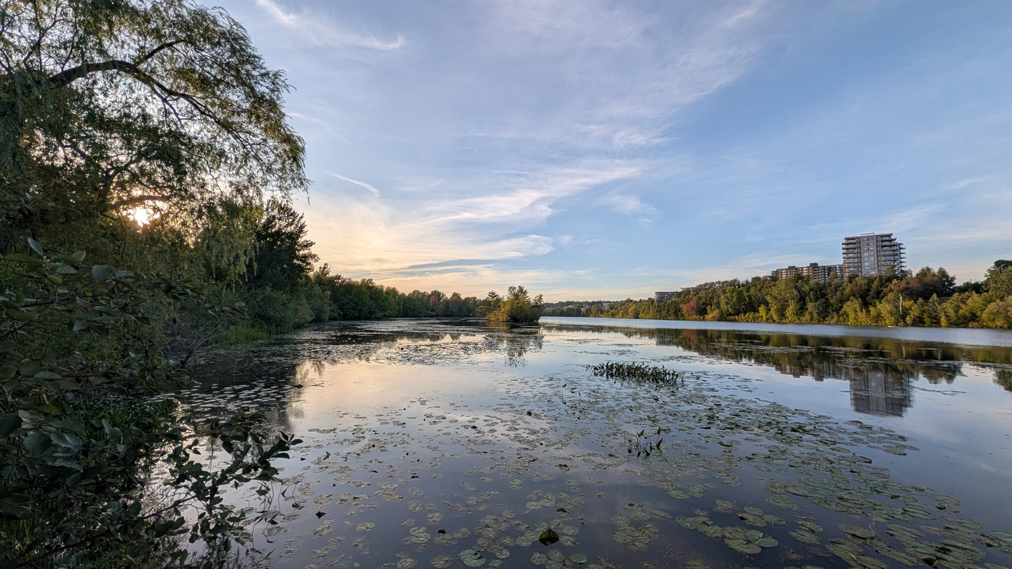2026-09-12 (Vue T2)