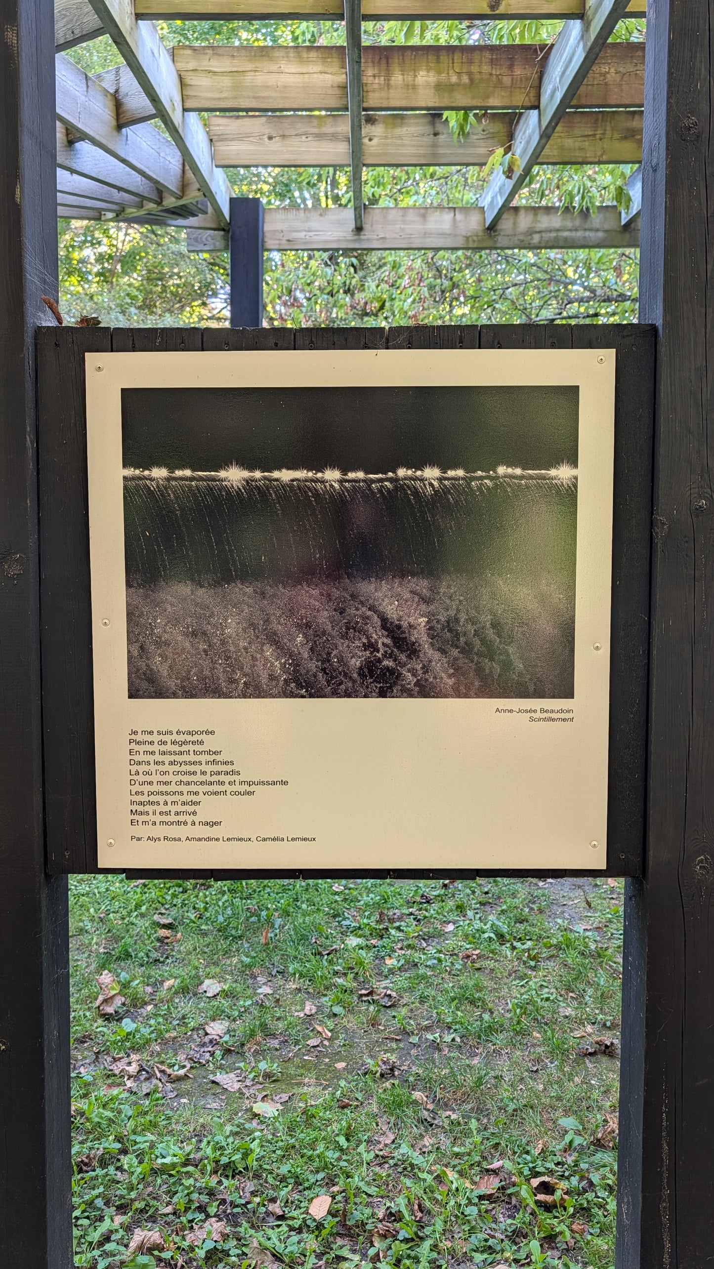 Scintillement - Anne-Josee Beaudoin